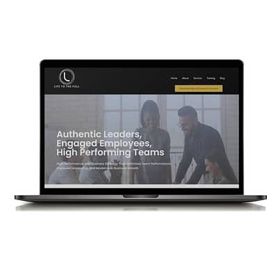 lttf-cover Life to the Full Consulting website