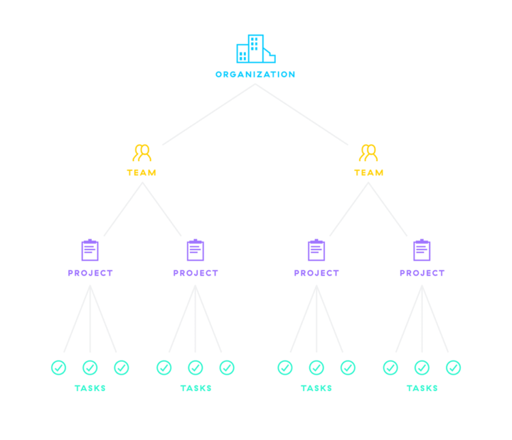 Asana setup